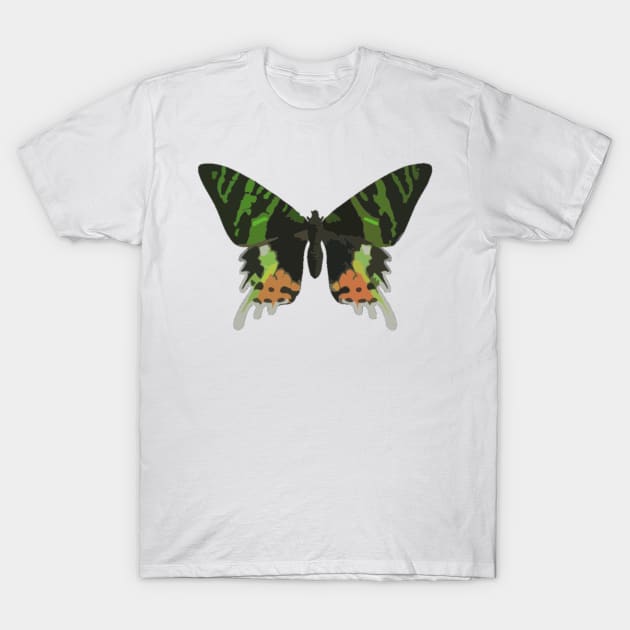 Madagascan Sunset Moth Digital Painting T-Shirt by gktb